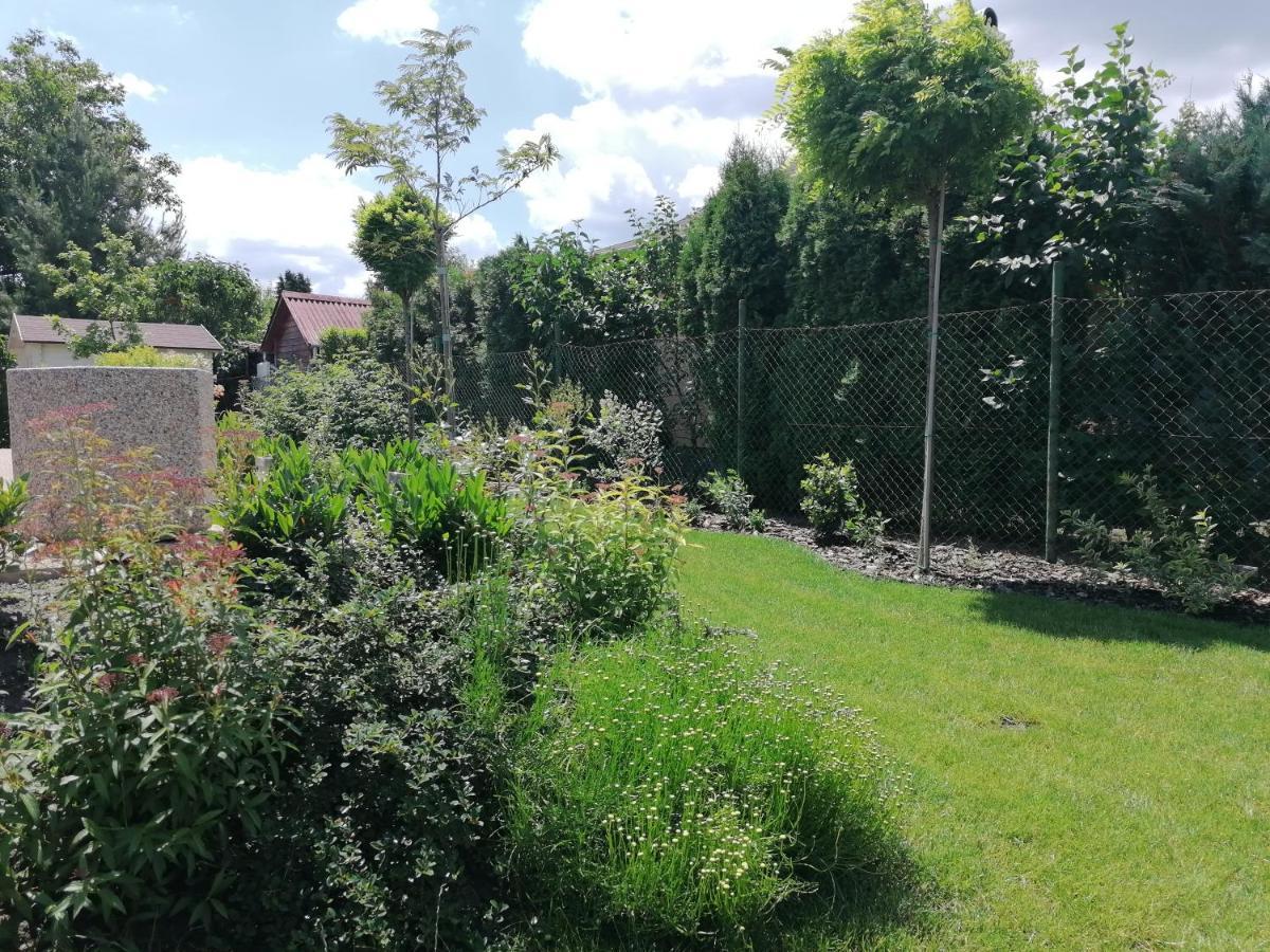 Levélke Mini Apartman Gárdony Exterior foto