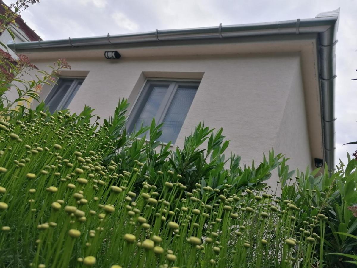 Levélke Mini Apartman Gárdony Exterior foto